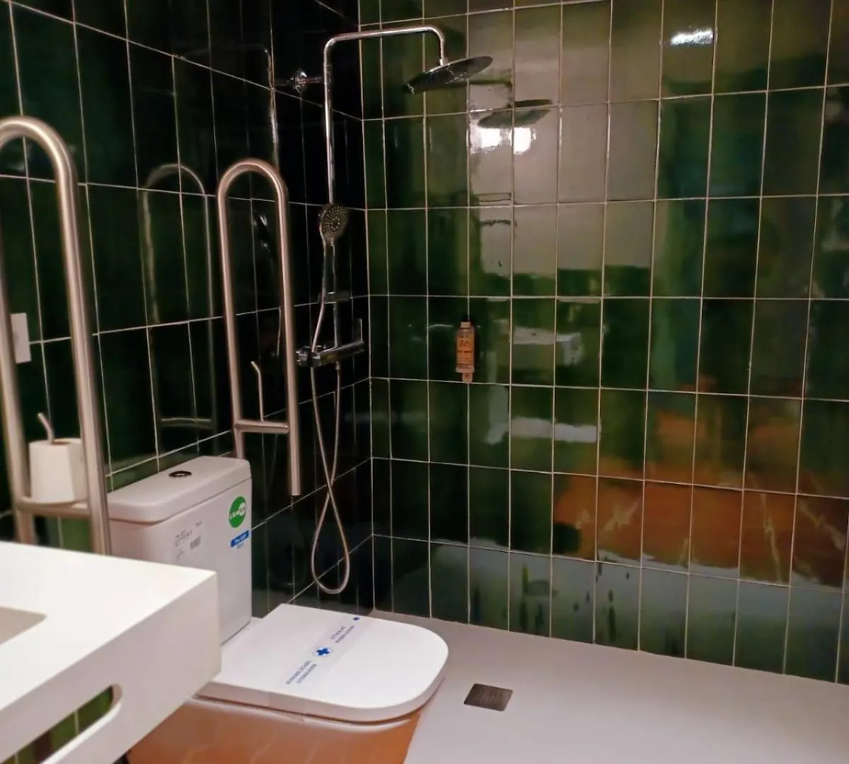 Terra Aurea Aparthotel 萨洛