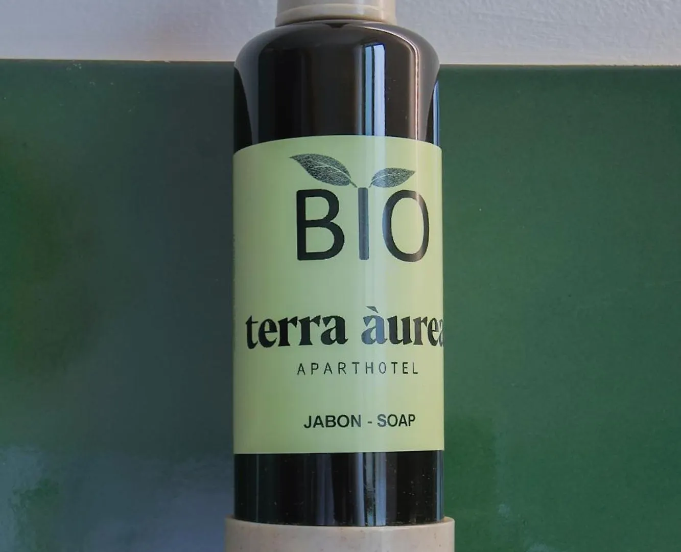 Terra Aurea Aparthotel 萨洛